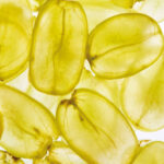 Trauben – eine Bereicherung in der Küche