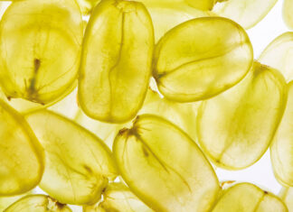 Trauben – eine Bereicherung in der Küche