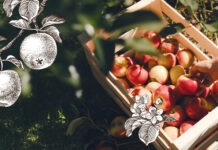 Äpfel – Mehr als eine Versuchung