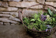 Wilde Kräuterküche – Gesundes aus der Natur