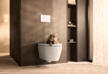 Duravit lanciert modernes Dusch-WC