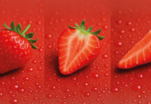 Erdbeeren – Verführerische Früchtchen